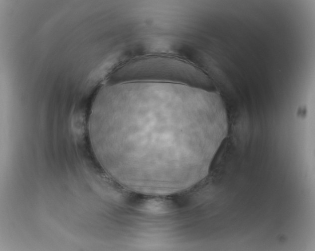 X0000113070708200909182025