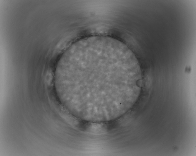 X0000113070709200909182025