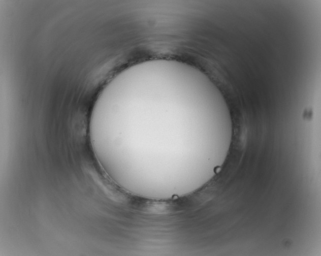 X0000113070710200909182025