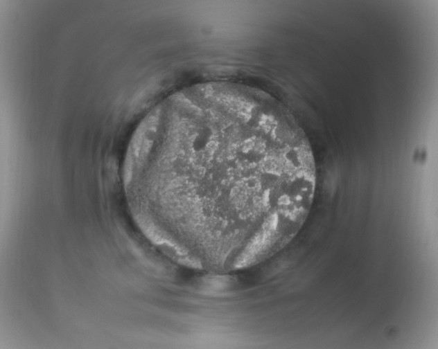 X0000113070711200909182025