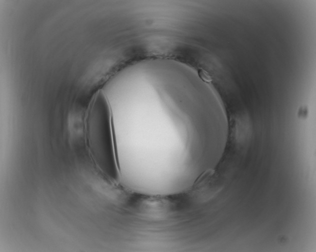 X0000113070712200909182025