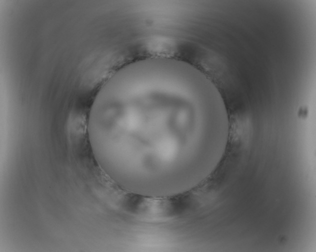 X0000113070713200909182024