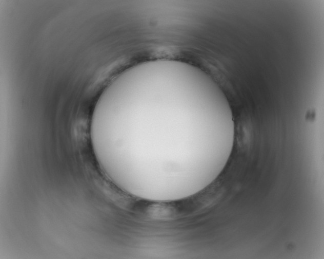 X0000113070714200909182024