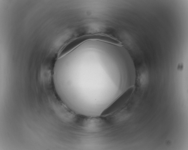 X0000113070716200909182024