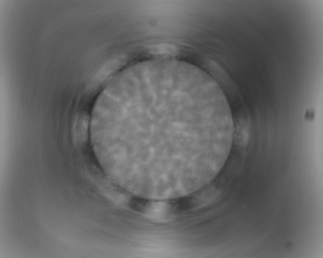 X0000113070717200909182024