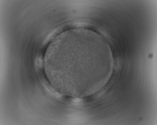 X0000113070718200909182024