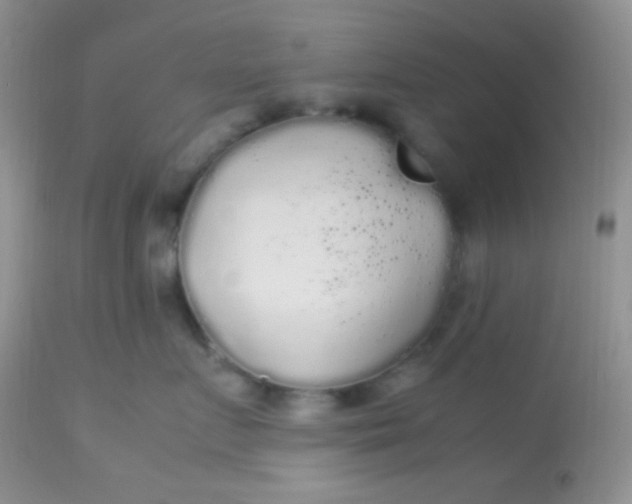 X0000113070719200909182024