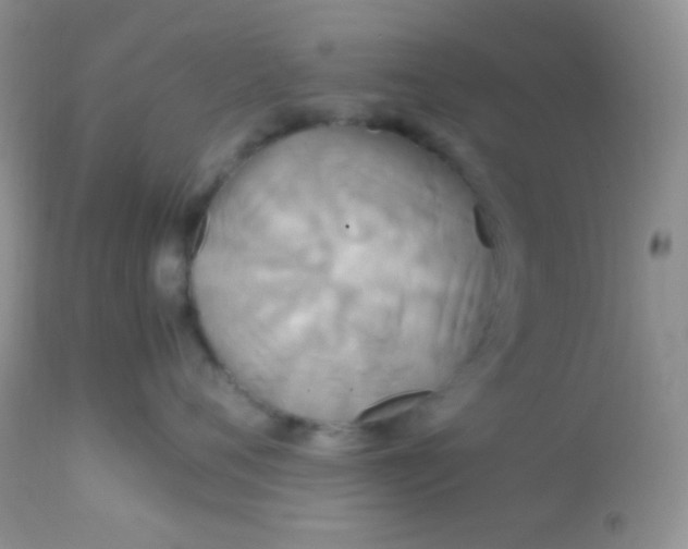 X0000113070720200909182024