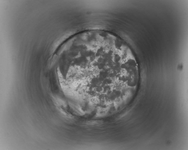 X0000113070721200909182024