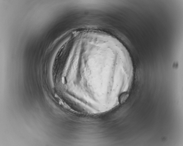 X0000113070722200909182024