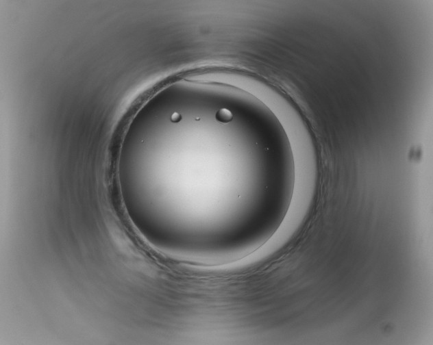 X0000113070724200909182024