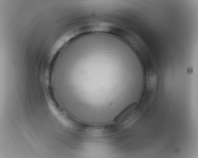 X0000113070726200909182024