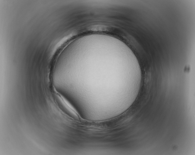 X0000113070727200909182024