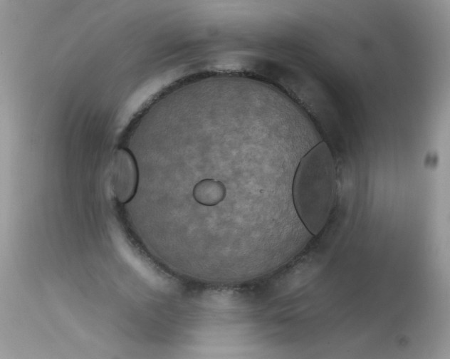 X0000113070728200909182024