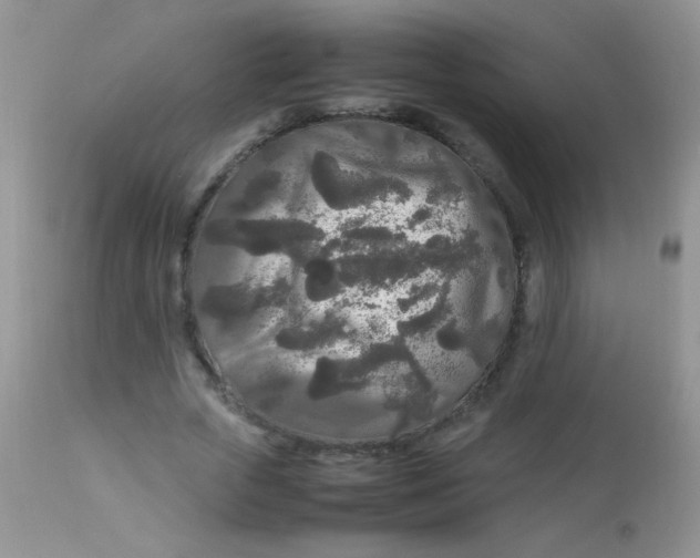 X0000113070729200909182024