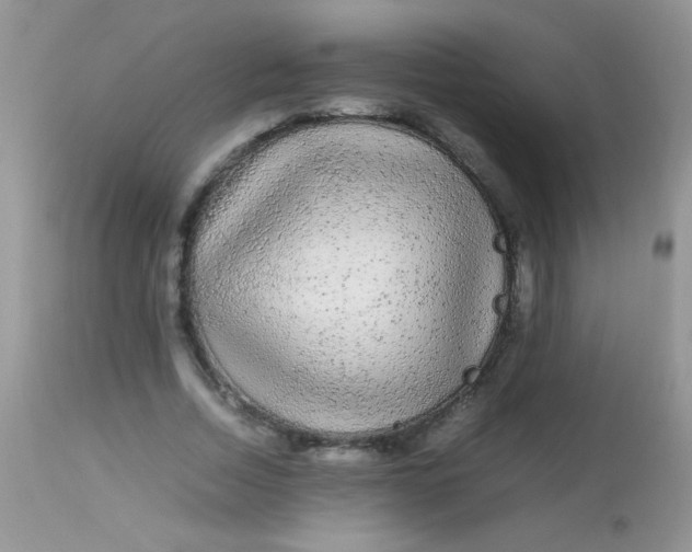 X0000113070730200909182024