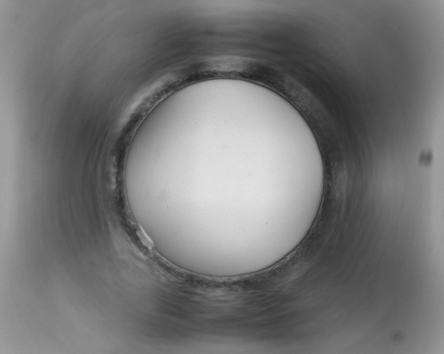 X0000113070731200909182024