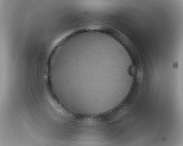 X0000113070732200909182024