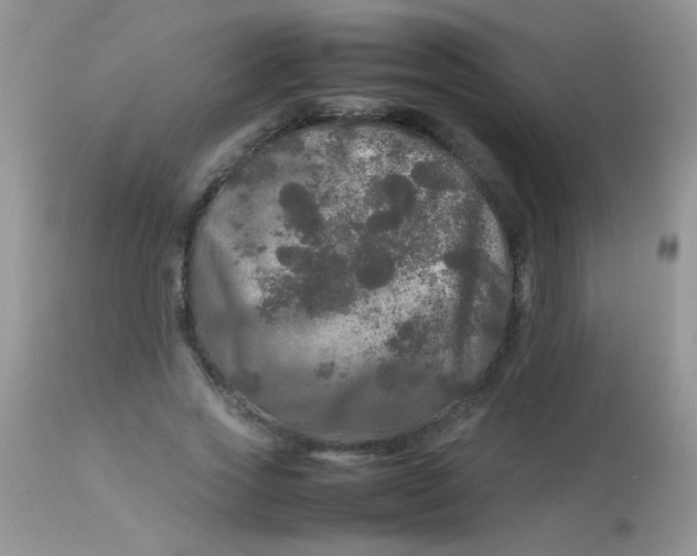 X0000113070733200909182024