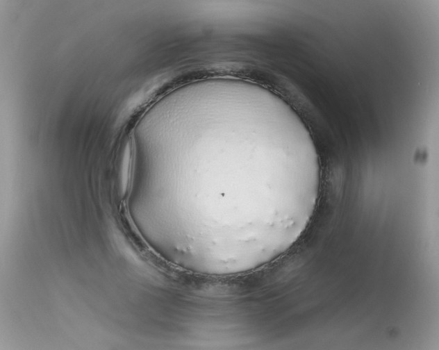 X0000113070734200909182024