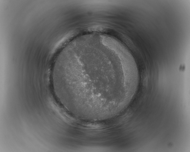 X0000113070735200909182024