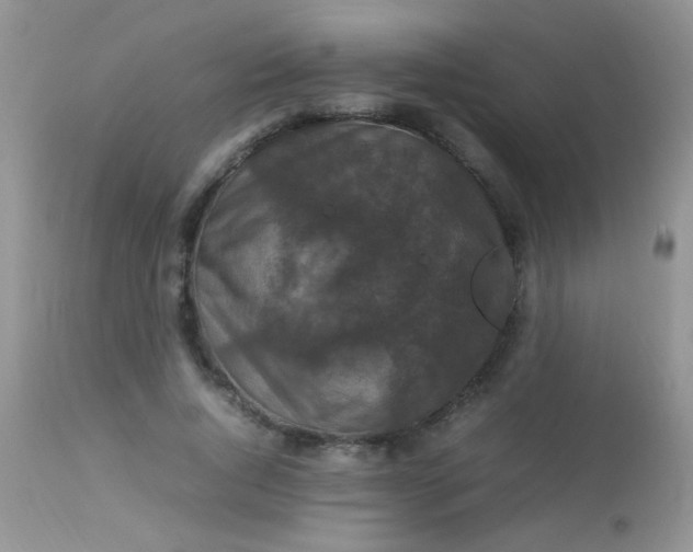 X0000113070736200909182024