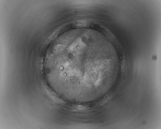 X0000113070737200909182024