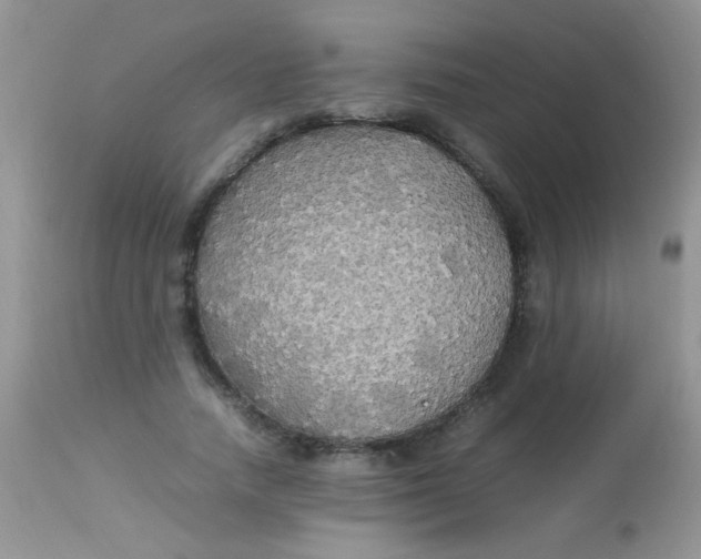 X0000113070738200909182024