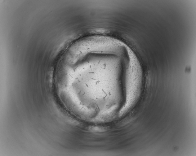 X0000113070739200909182024