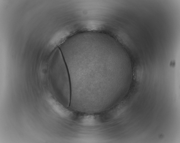 X0000113070740200909182024