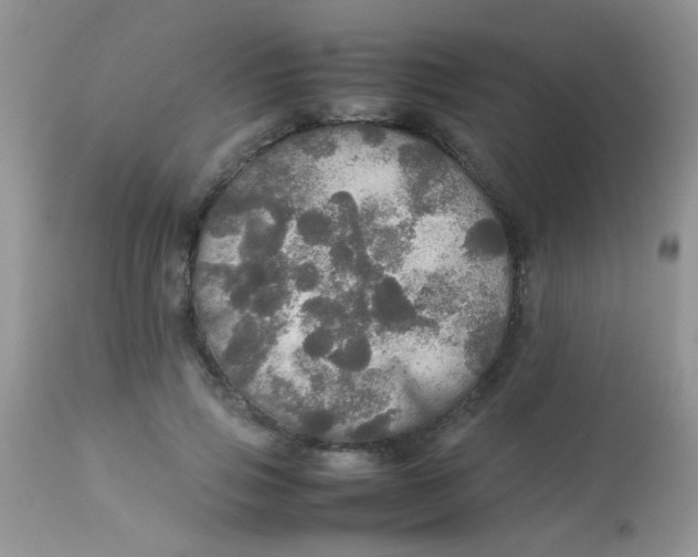 X0000113070741200909182024