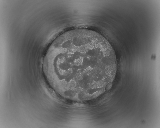 X0000113070742200909182024