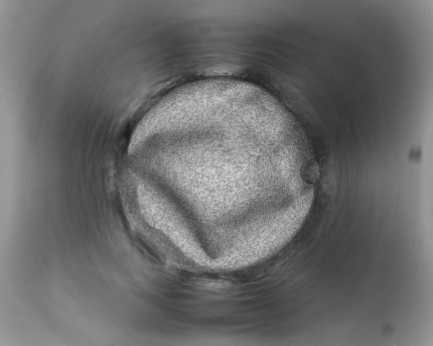 X0000113070743200909182024