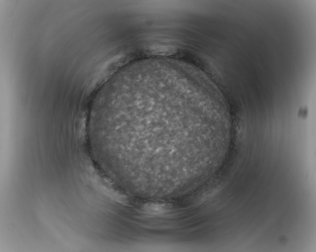 X0000113070745200909182024