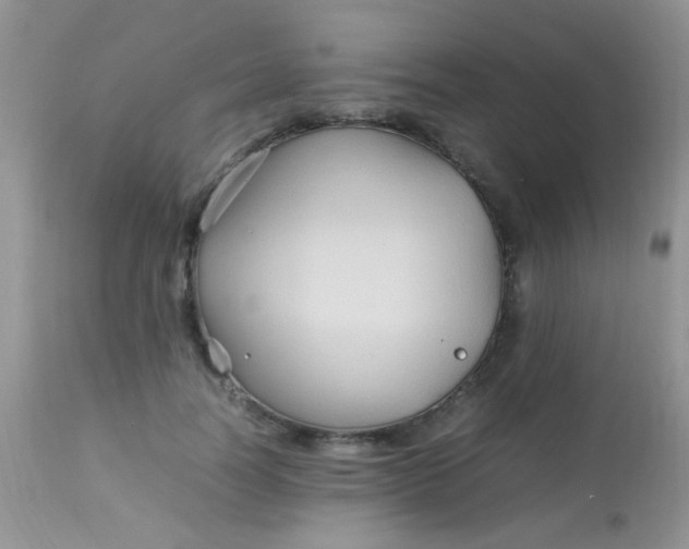 X0000113070746200909182024