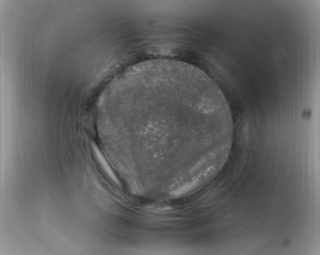 X0000113070747200909182024