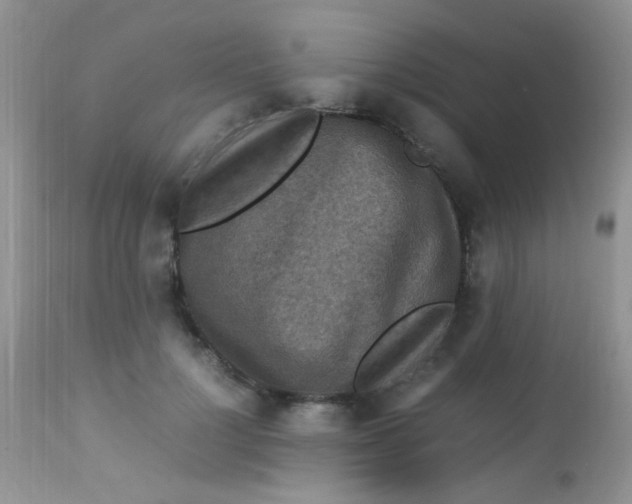 X0000113070748200909182024