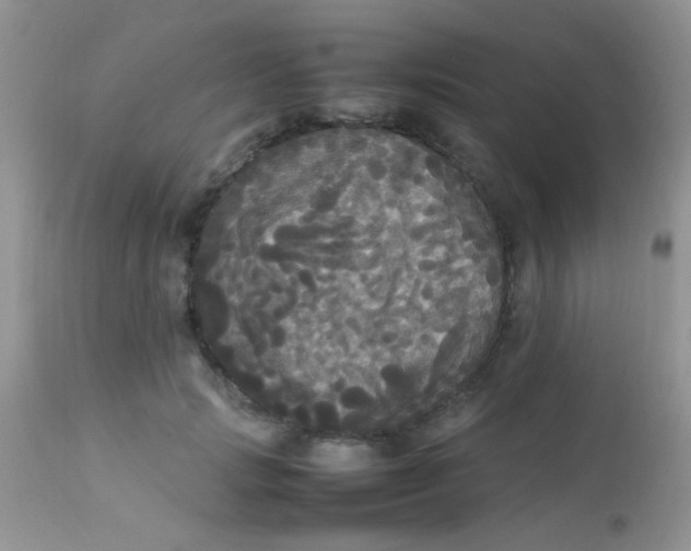 X0000113070749200909182024