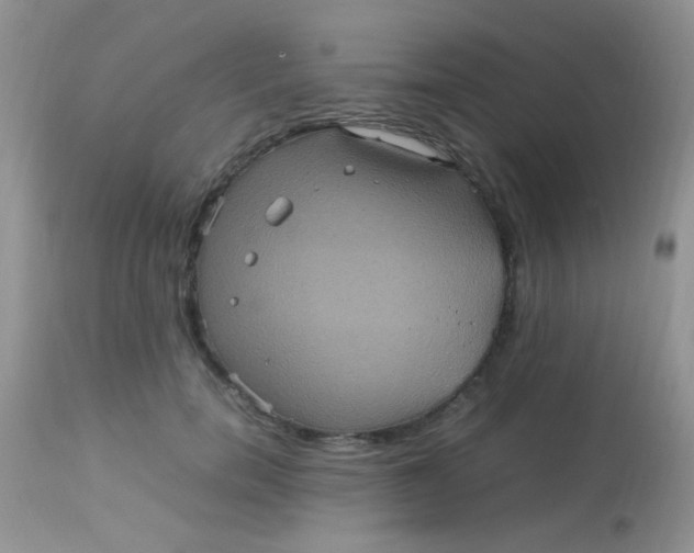 X0000113070750200909182024