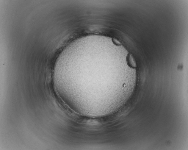 X0000113070751200909182024