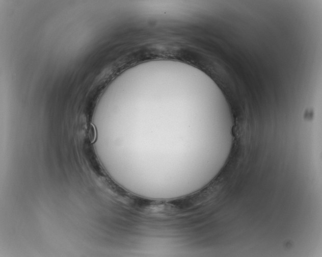 X0000113070752200909182024