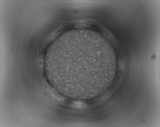 X0000113070753200909182024