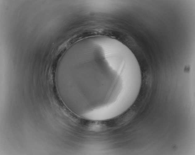 X0000113070754200909182024