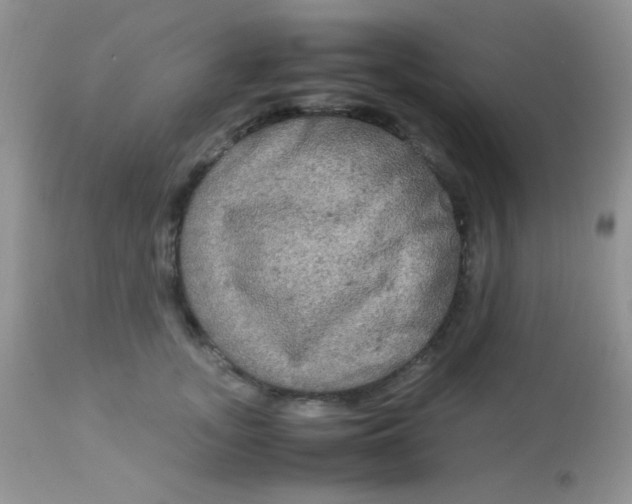 X0000113070755200909182024