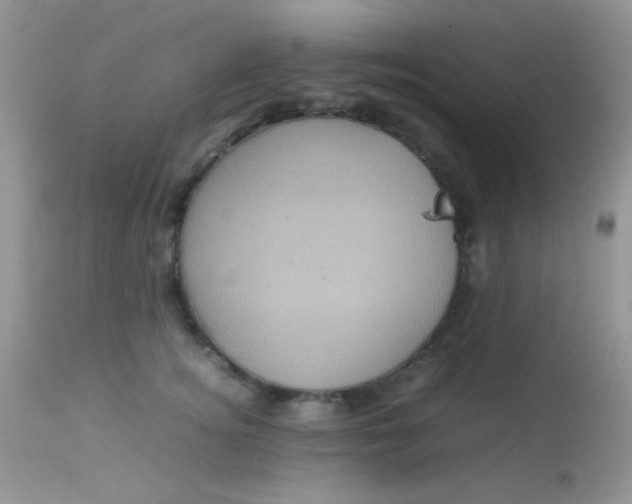 X0000113070756200909182024