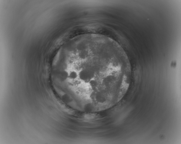 X0000113070757200909182024