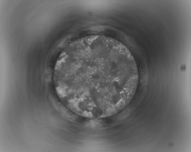 X0000113070758200909182024