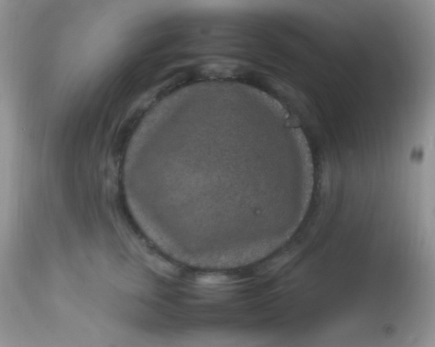 X0000113070759200909182024