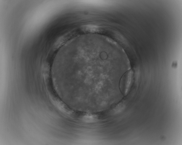 X0000113070760200909182024