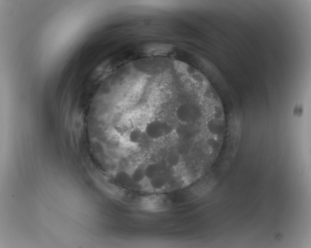 X0000113070761200909182024